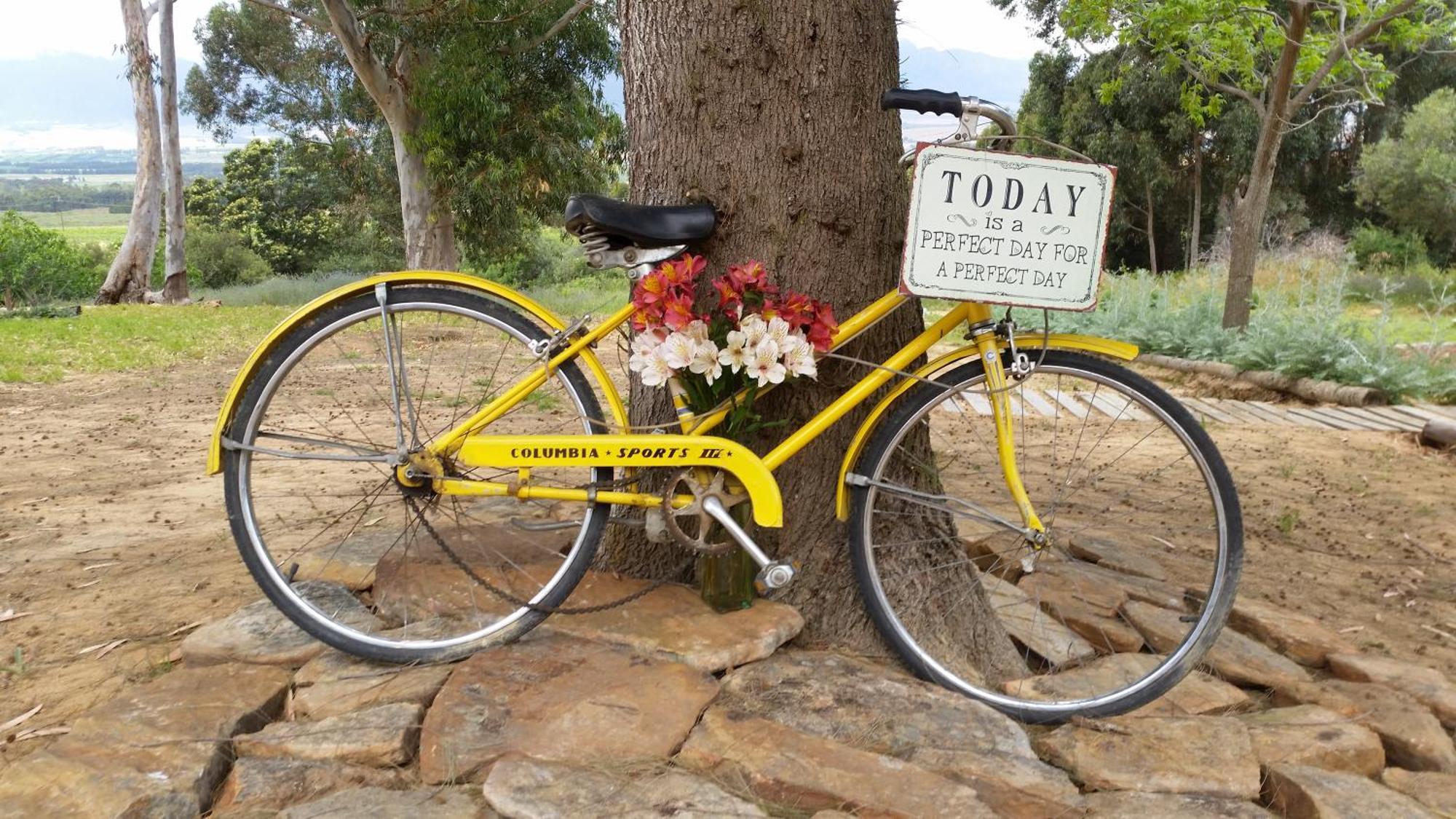 Villa Oudekloof Wine Estate Tulbagh Esterno foto
